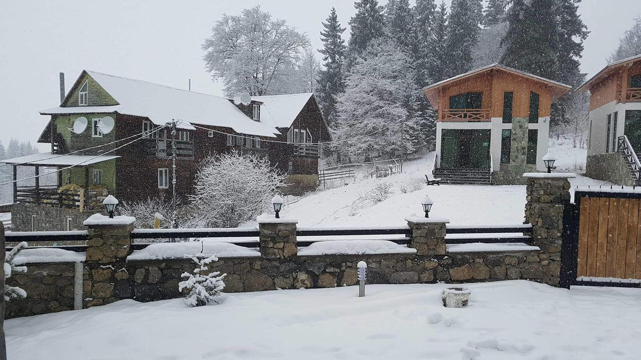 Villa In Mountains Бакуриани Экстерьер фото
