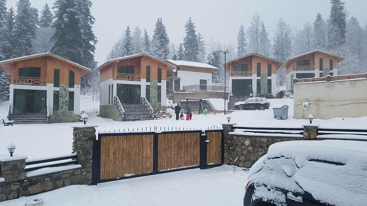 Villa In Mountains Бакуриани Экстерьер фото