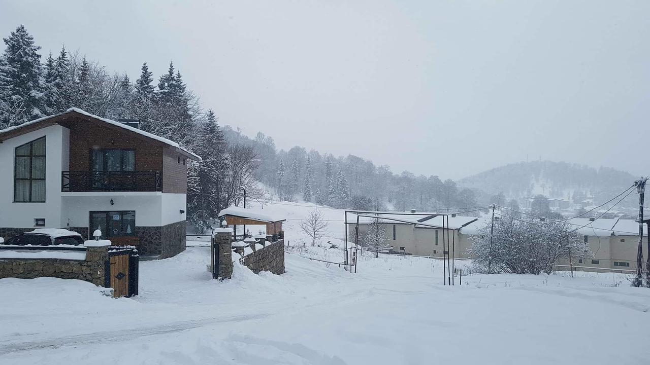 Villa In Mountains Бакуриани Экстерьер фото
