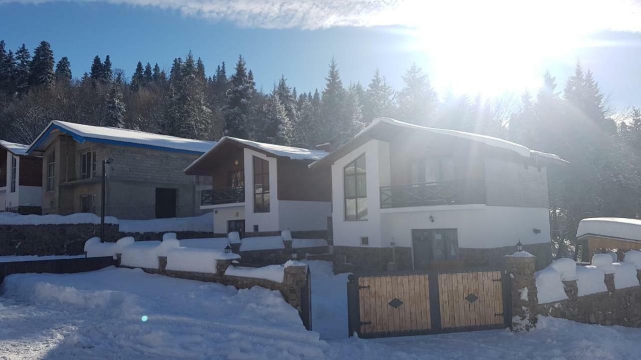 Villa In Mountains Бакуриани Экстерьер фото